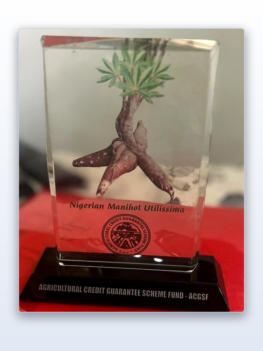 ACGSF award plaque